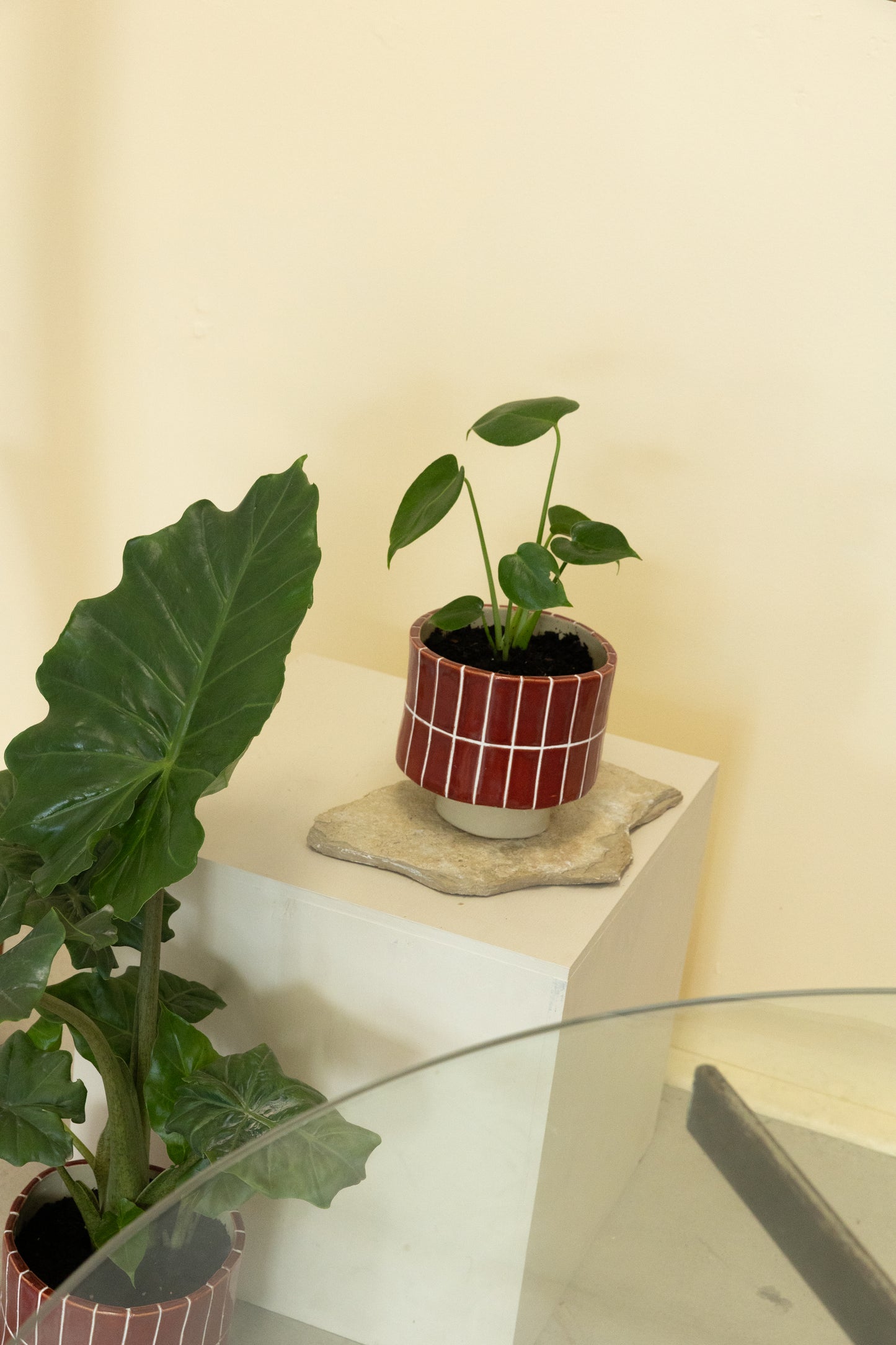 The Cowboy Planter