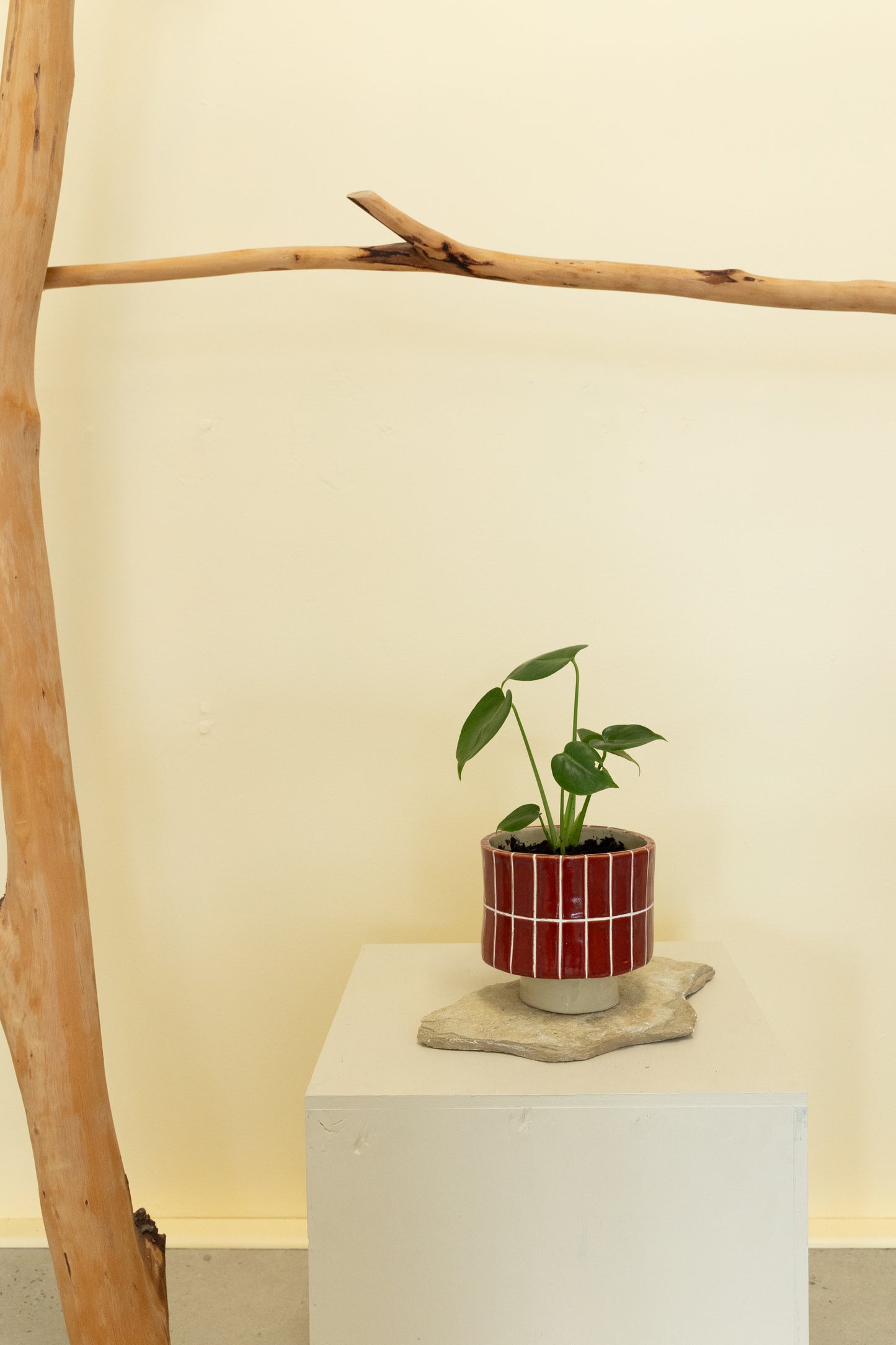 The Cowboy Planter