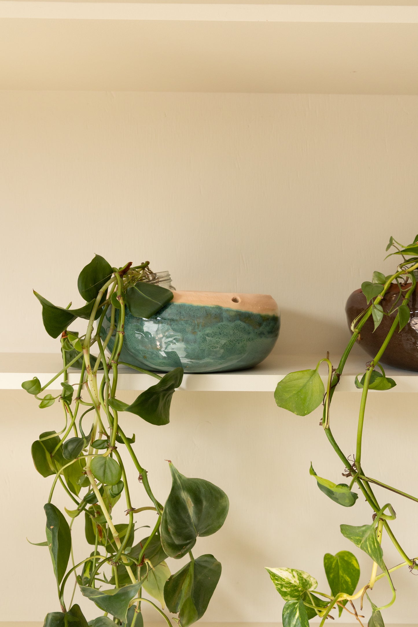 Emerald Hanging Planter