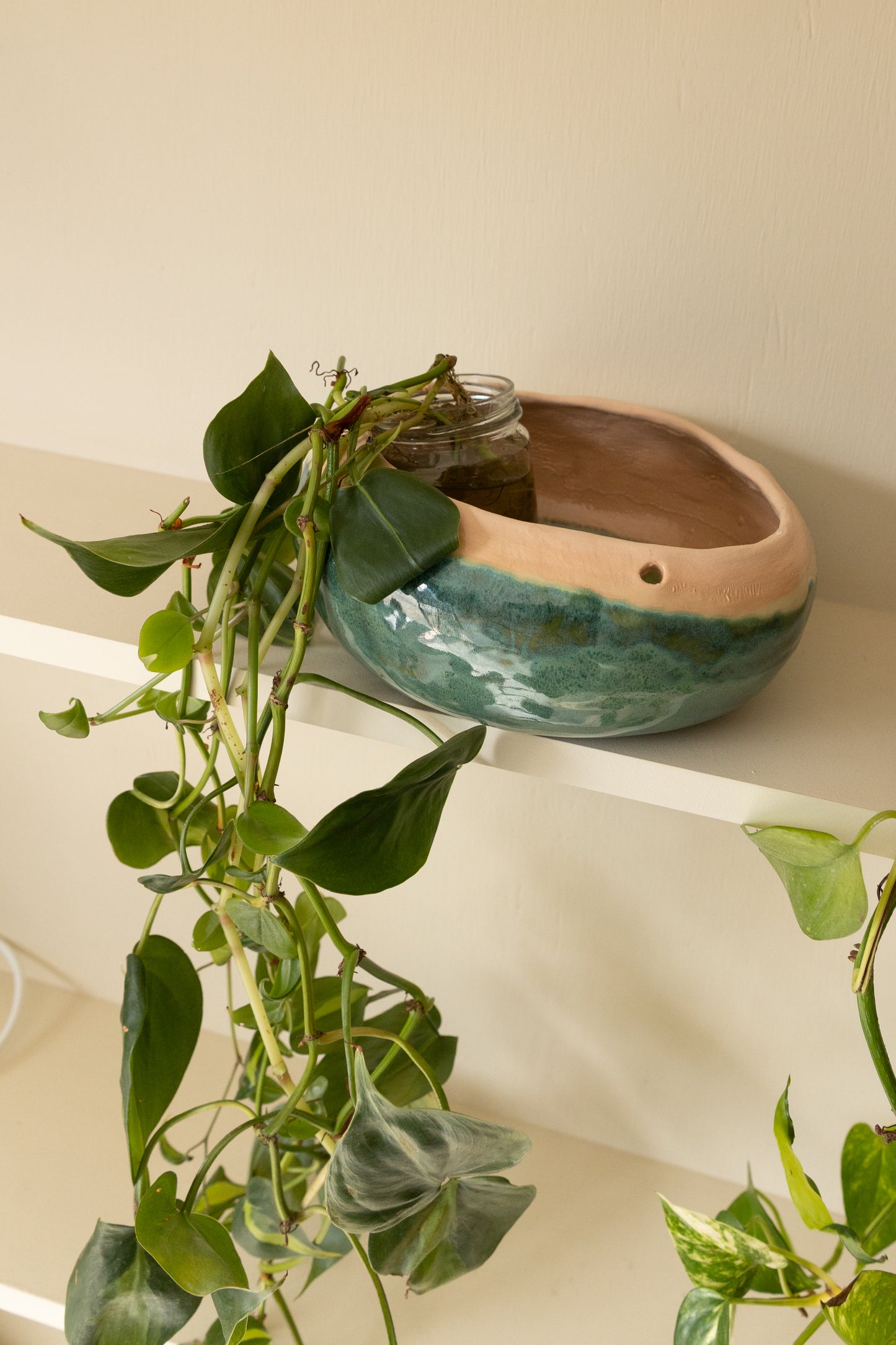 Emerald Hanging Planter