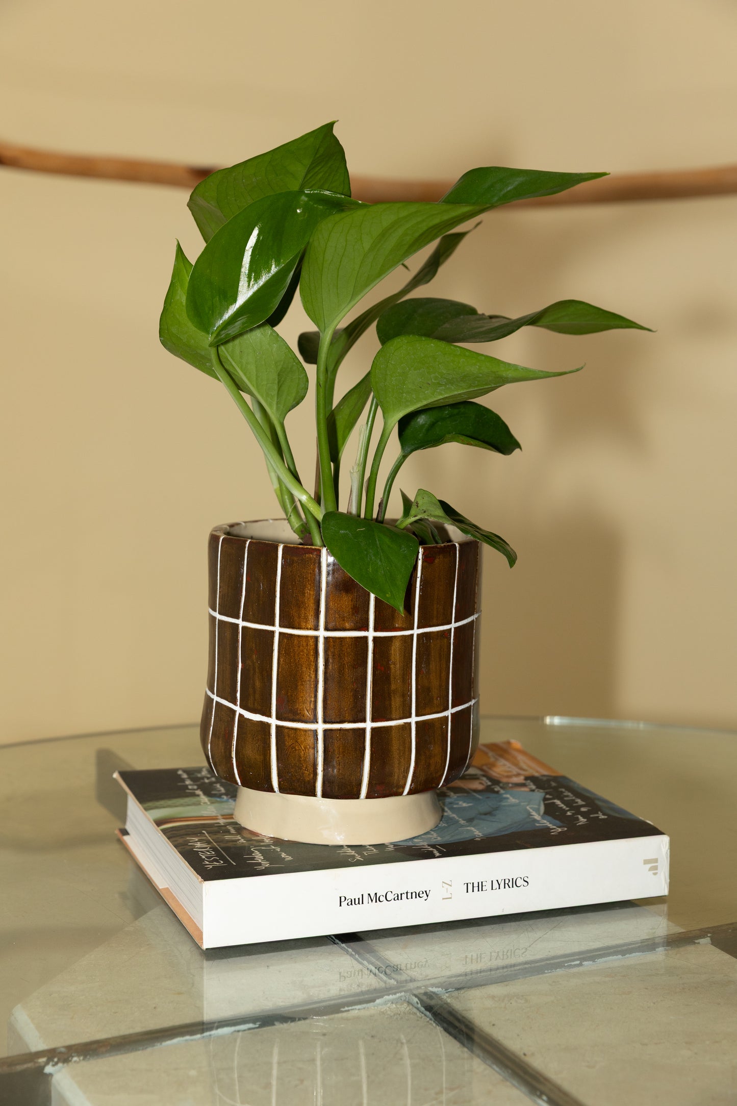 Chocolate Coated Planter Pot