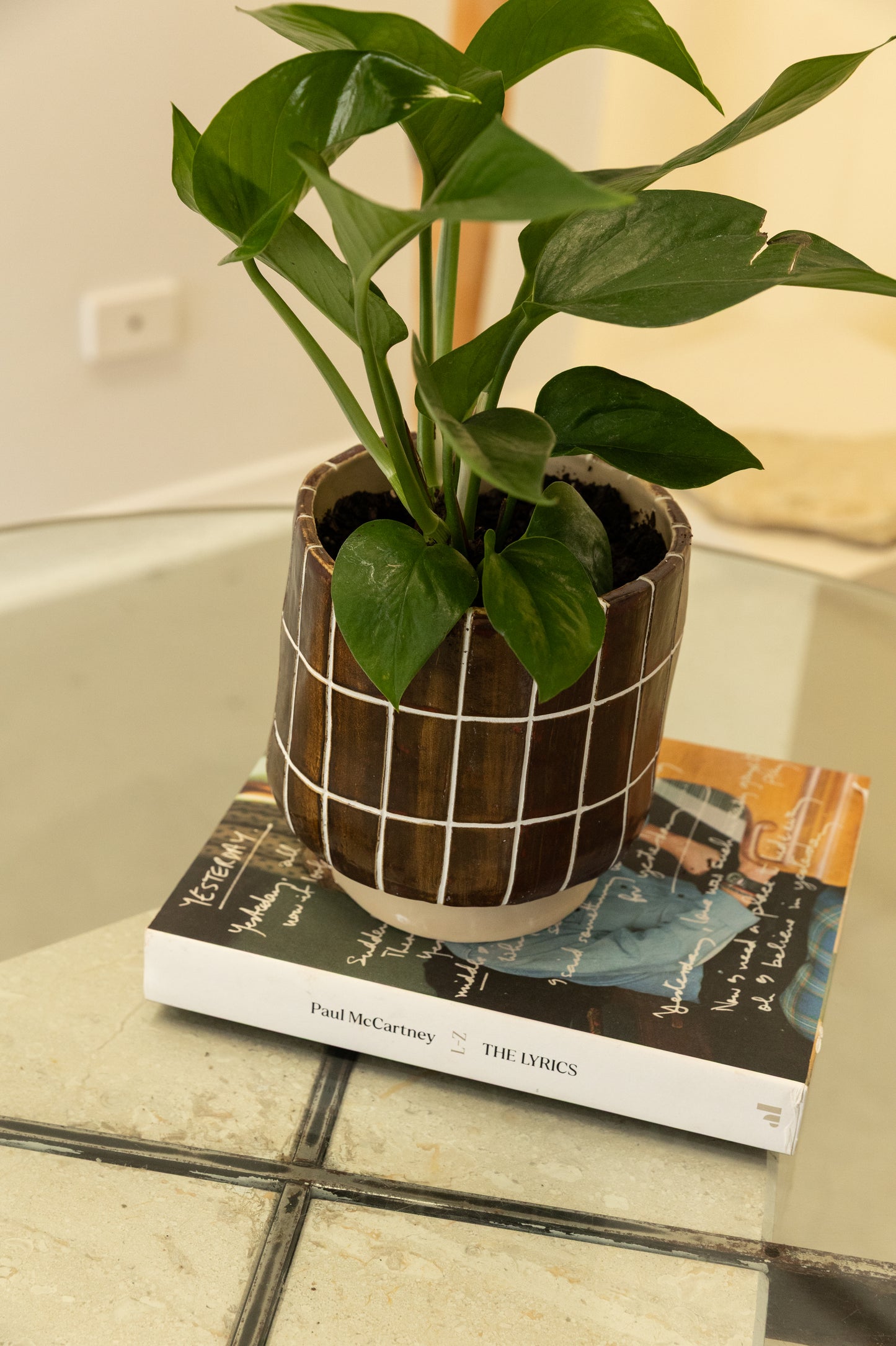 Chocolate Coated Planter Pot