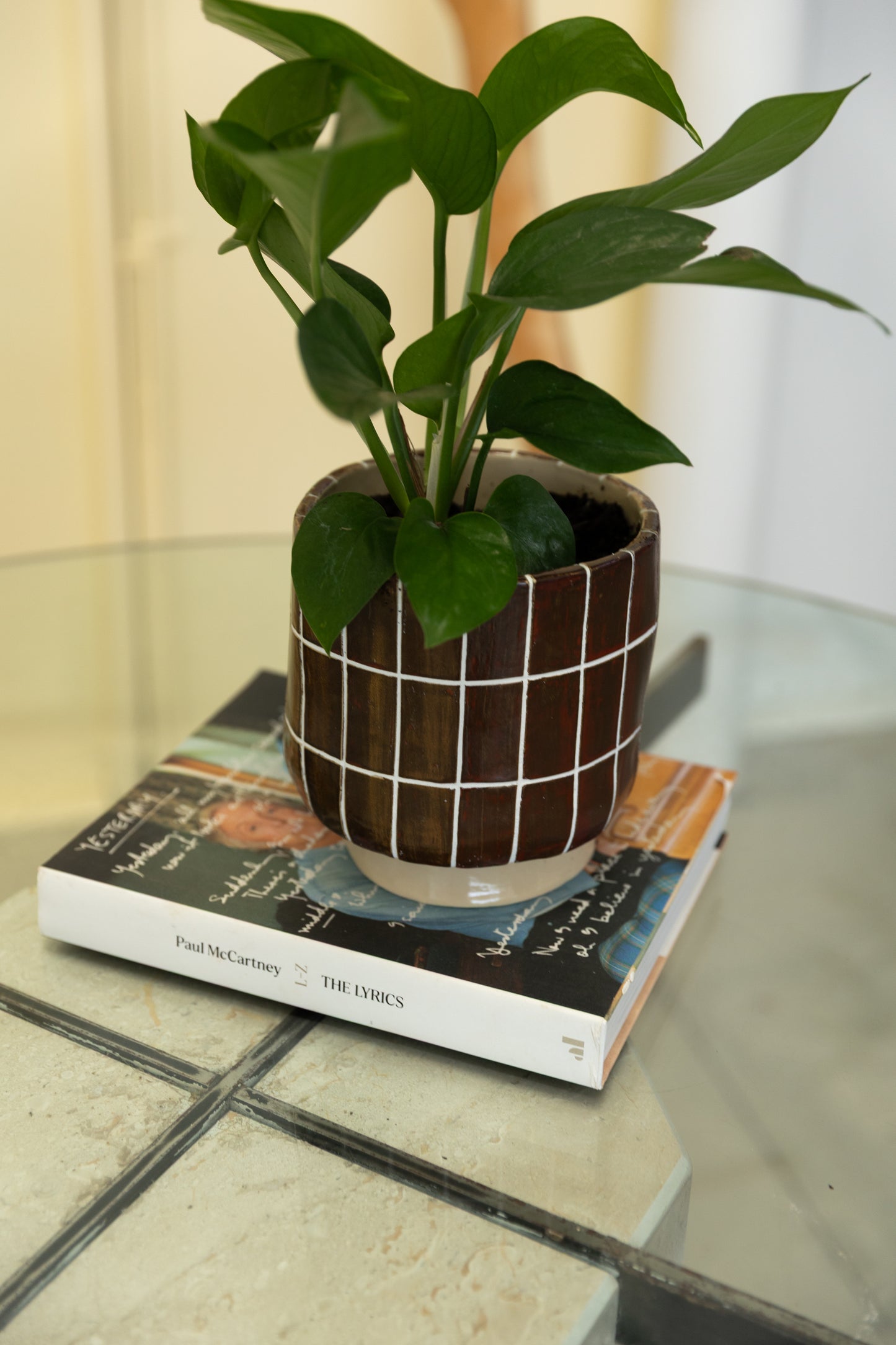 Chocolate Coated Planter Pot