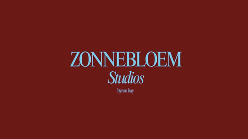 Zonnebloem Studios 